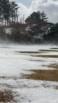 雪遊びの記事動画