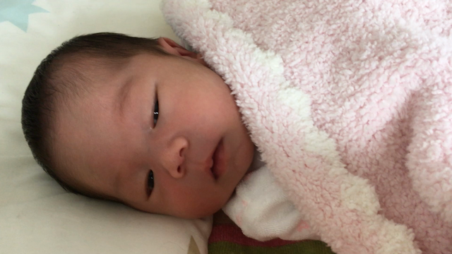 ねむ ねむ ねむ〜の記事動画