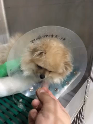 今日のジェルの記事動画