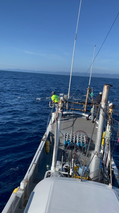 ◇10月5日 キハダキャスト◇の記事動画