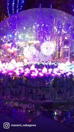 さいたま新都心けやきひろばのイルミネーション2022の記事動画