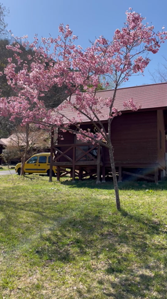 3度目の クリエイト菅谷キャンプ場の記事動画