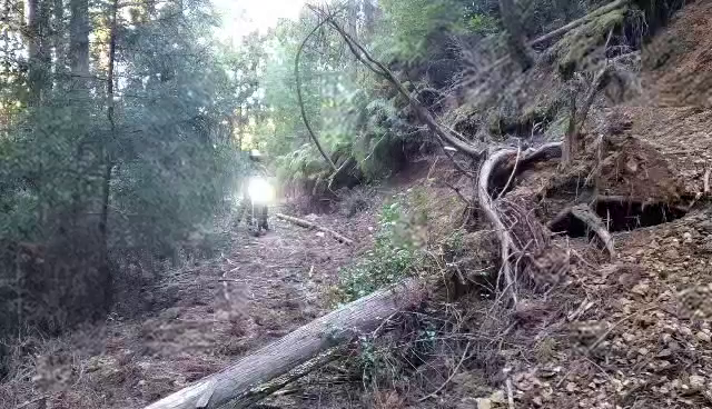 林道ツーリング【KX112】の記事動画