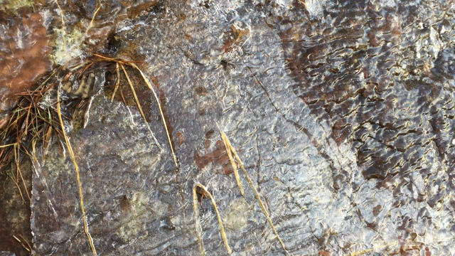 試し履きの記事動画