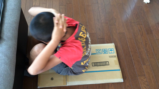 15回になった様デスねの記事動画