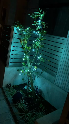 調子報告の記事動画