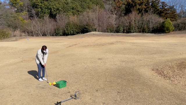 新しい仲間！！の記事動画