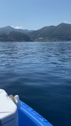 2馬力〜ショアタコの記事動画