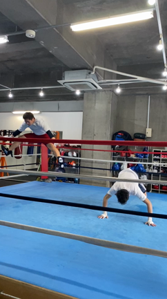 火曜の営業〜4/1選手試合情報の記事動画