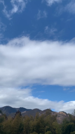 入静の深さの記事動画