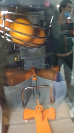 ただいま！の記事動画