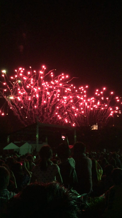 最後の花火の記事動画