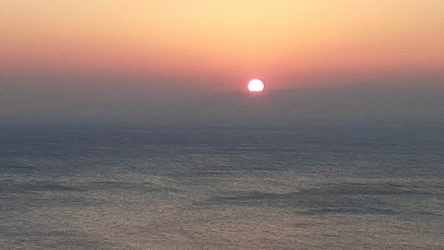 早春賦の記事動画