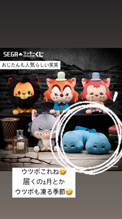 オタ親子のクラブ活動と犬のいる生活