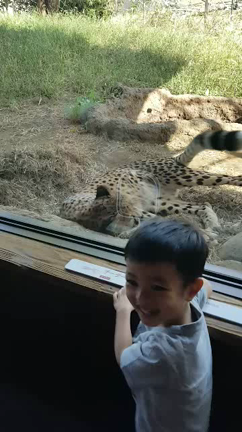 ズーラシア！の記事動画