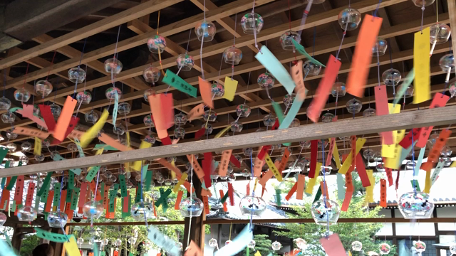 【廣禅寺】1300個の風鈴が奏でる「風鈴祭り」の記事動画