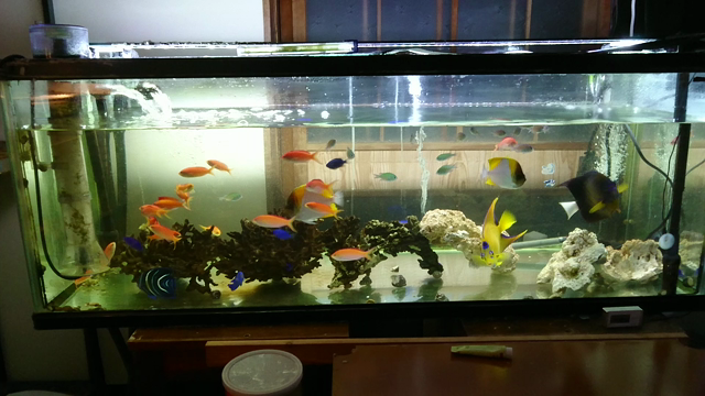 夜勤前にの記事動画