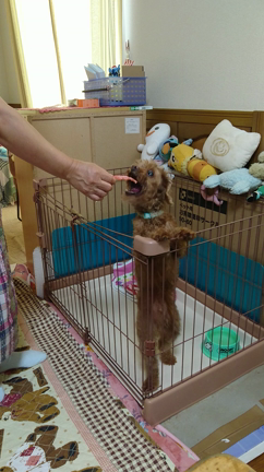 スバク②☆の記事動画