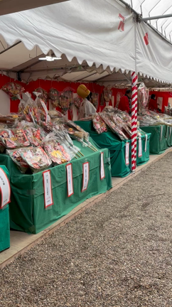 十日戎戎　交野住吉神社に行ってきた♪の記事動画