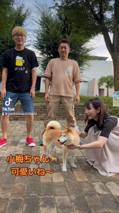 #fmfuji #フライデーパンチ　生放送終了とワンマンもうすぐ‼️の記事動画