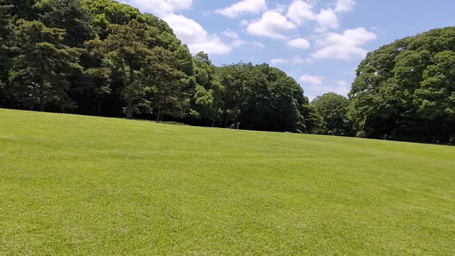 25日の代々木界隈はの記事動画