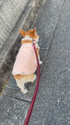 次は皮膚が壊死って言われたの記事動画