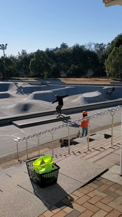 てっちん、肋骨折れたってよ。の記事動画