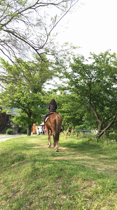 あてのない旅の記事動画