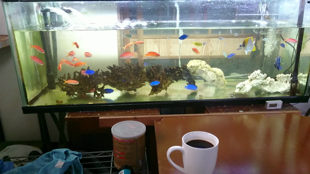 手作り感満載の記事動画