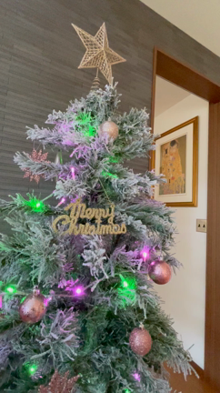 【趣味】ひとりぷらり旅の記事動画