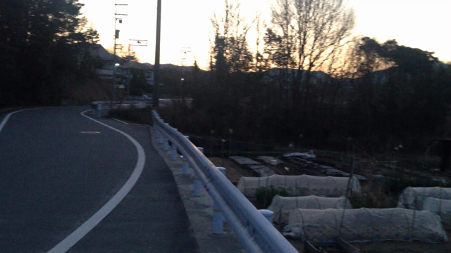 木霊？の記事動画