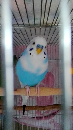 それぞれの時間☆の記事動画