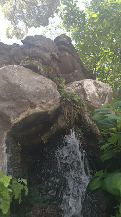 深川不動堂〜神田明神への記事動画