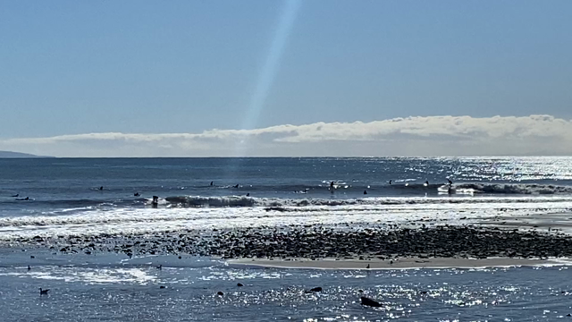 アメリカより5の記事動画