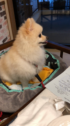 不思議なこと。の記事動画