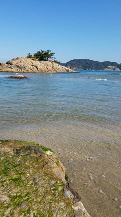 心地いい場所ஐ*°♡の記事動画