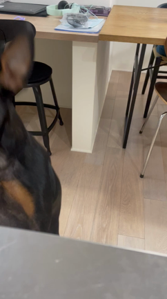 おはようございます。元気です。の記事動画