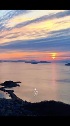 2022/06/14の記事動画