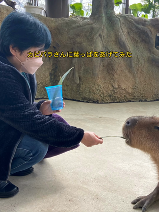 温泉に行って来たの記事動画