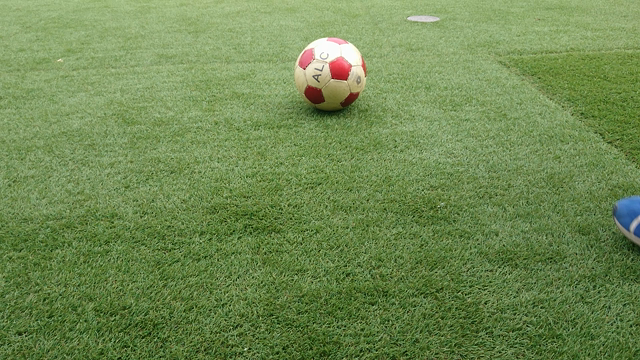 自宅でできるトレーニング②レベルアップの記事動画