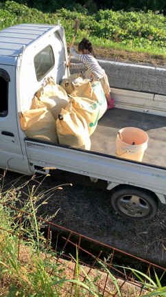 192あべし、稲刈り2021 Abe's grandmother homeの記事動画