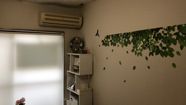 ここ・からラボ、森林化計画遂行中の記事動画