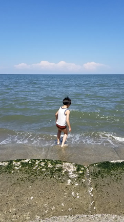 今年も懲りずにやらかしたの記事動画