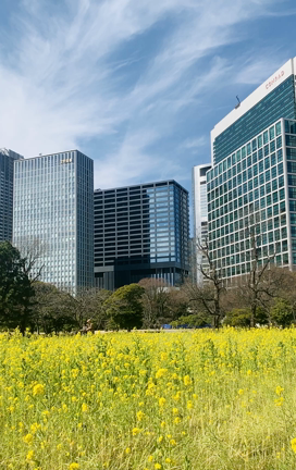 マスクにまつわるアレやコレの記事動画