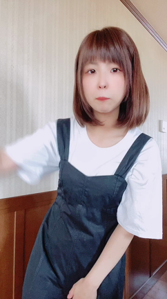 今週の予定の記事動画