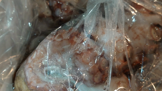 たこ。の記事動画