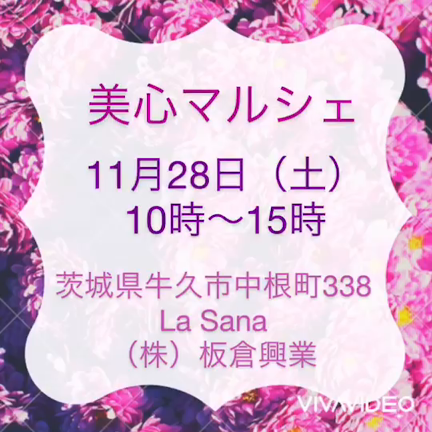11月28日＊美心マルシェへ参加します＊その２の記事動画