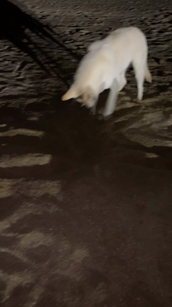 長崎は今日も雨だったの記事動画