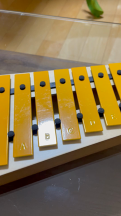 名前を変更しました♪の記事動画