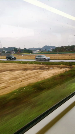 稲穂カラーの記事動画